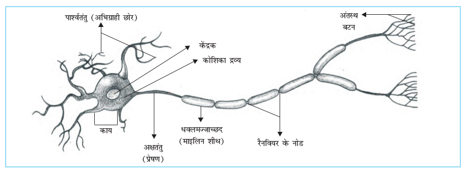 Screenshot from 2019-06-08 19-09-20